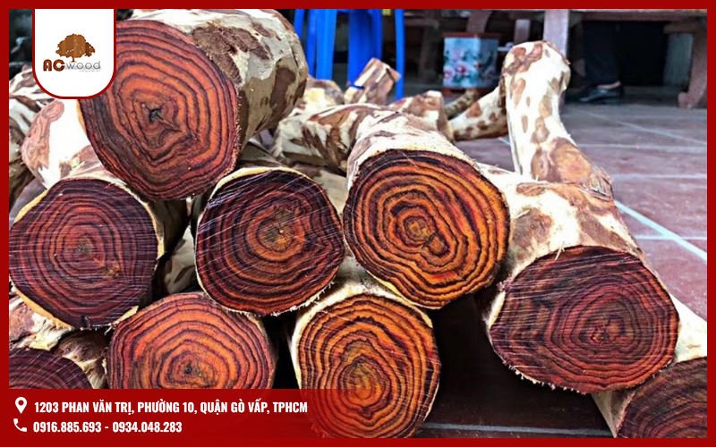 Gỗ Sưa - Top các loại gỗ thơm Việt Nam