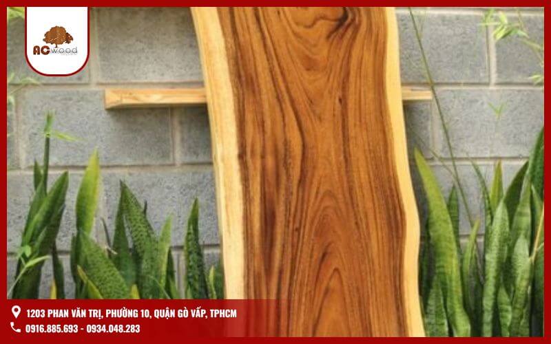 Gỗ tràm là một loại gỗ thân thuộc với người Việt Nam, được biết đến với nhiều ưu điểm vượt trội.