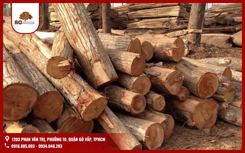 Khối lượng riêng gỗ tràm dao động từ 550 - 650 kg/m³, tùy theo độ ẩm của gỗ. Nếu là gỗ tràm tươi, trọng lượng có thể cao hơn do chứa nhiều nước, có thể lên đến 900 - 1.000 kg/m³. Gỗ tràm sau khi được sấy khô và xử lý thường có trọng lượng giảm xuống, giúp dễ dàng vận chuyển và thi công hơn.