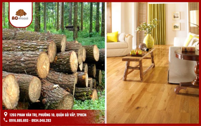 Ứng dụng của gôx tràm