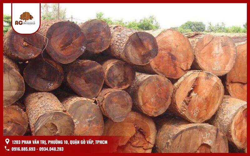 Đây những loại gỗ có giá trị kinh tế cao, khan hiếm và có tính chất vượt trội như độ bền, vân gỗ đẹp, mùi hương đặc trưng hoặc công dụng phong thủy. Những loại gỗ này thường được sử dụng trong sản xuất nội thất cao cấp, đồ thủ công mỹ nghệ và xây dựng.