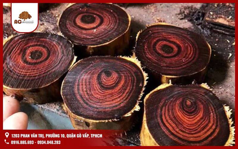 Gỗ quý luôn là biểu tượng của sự sang trọng, đẳng cấp và giá trị vượt thời gian. Khiến chúng trở thành niềm mơ ước của giới sưu tầm và những người yêu thích nội thất cao cấp.