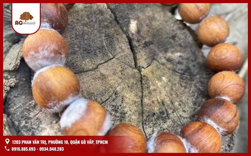 Hoàng đàn tuyết là một trong những loại gỗ quý hiếm nhất thế giới, nổi tiếng với khả năng tự tiết dầu tạo ra lớp tuyết trắng phủ bên ngoài thân gỗ. Loại gỗ này có màu sắc đẹp, mùi hương đặc biệt và giá trị kinh tế cao. Gỗ hoàng đàn tuyết chủ yếu xuất hiện tại Trung Quốc và một số khu vực có khí hậu lạnh.