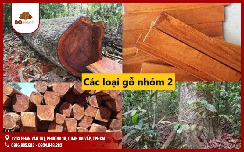 Đây là một nhóm gỗ tự nhiên được phân loại dựa trên độ cứng và khả năng chịu lực.Các loại gỗ thuộc nhóm này thường được sử dụng rộng rãi trong các công trình xây dựng, đặc biệt là thi công sàn gỗ.