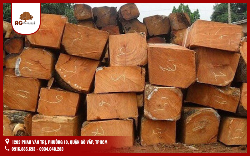 Gỗ gõ đỏ Nam Phi có độ cứng cao và thớ gỗ chặt, giúp hạn chế sự xâm nhập của mối mọt so với nhiều loại gỗ khác. Cấu trúc gỗ dày đặc khiến côn trùng khó có thể đục khoét và làm tổ bên trong.