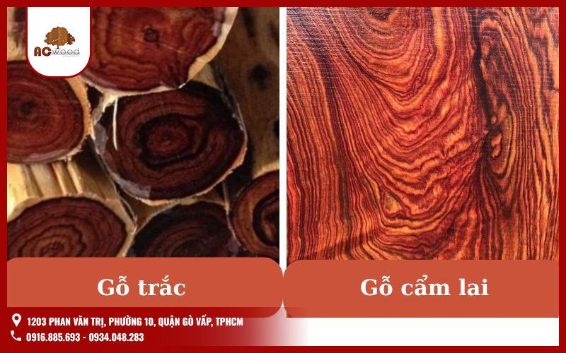 So sánh gỗ trắc và gỗ cẩm lai – Những điểm giống nhau