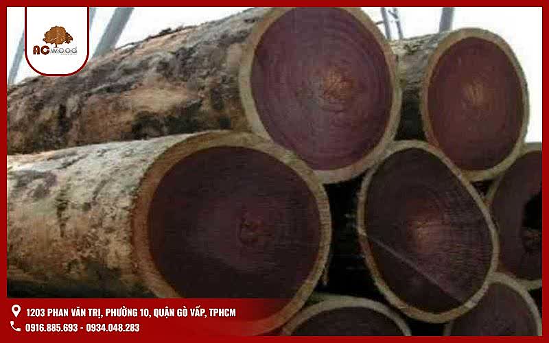 Đặc điểm gỗ tự nhiên nhóm 3