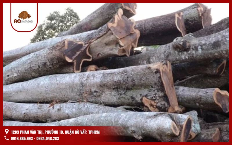 Gỗ muồng là gỗ gì?