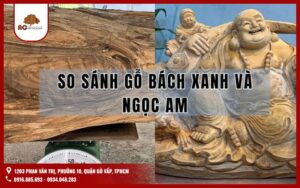 So sánh gỗ bách xanh và ngọc am