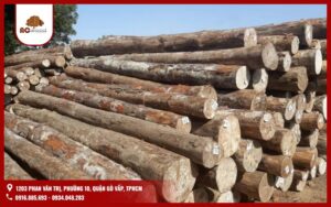 Phân loại gỗ tự nhiên Việt Nam