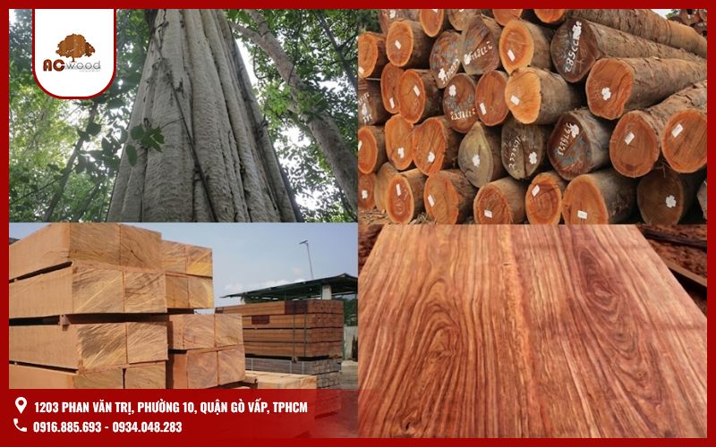 Gỗ gõ đỏ chuyên thiết kế nội thất cao cấp